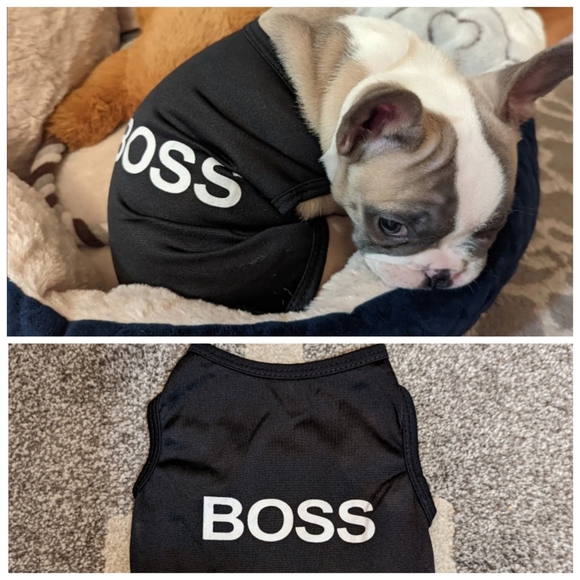Boss Puppy shirt - Picture 1 of 4